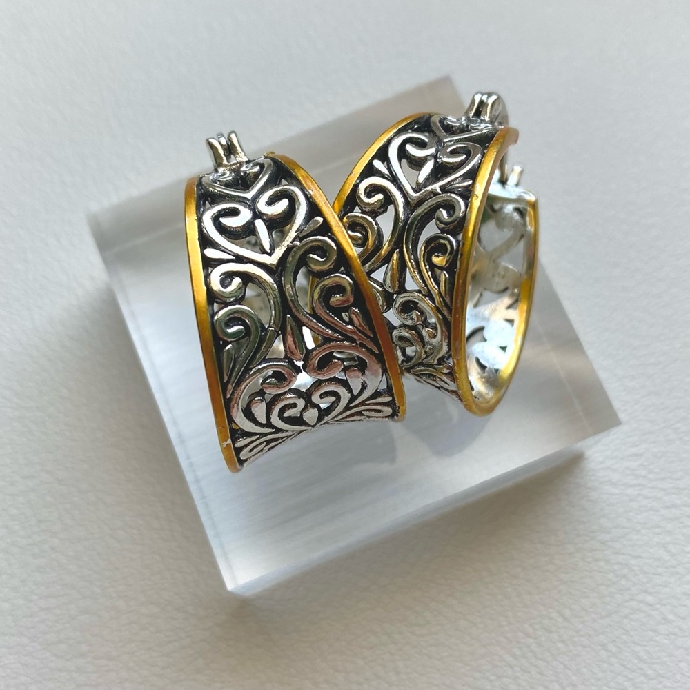 Elegant Silver and Gold Hoop Earrings